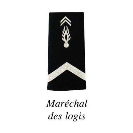 2 FOURREAUX GENDARMERIE DEPARTEMENTALE PLASTIFIE  - 3