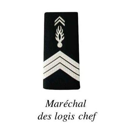 2 FOURREAUX GENDARMERIE DEPARTEMENTALE PLASTIFIE  - 5