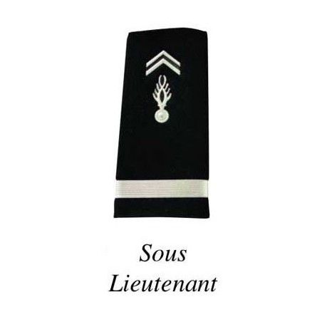 2 FOURREAUX GENDARMERIE DEPARTEMENTALE PLASTIFIE  - 10