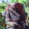 CHAPEAU JUNGLE AVEC MOUSTIQUAIRE