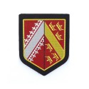 ECUSSON GENDARMERIE REGION PLASTIFIE