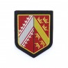 ECUSSON GENDARMERIE REGION PLASTIFIE
