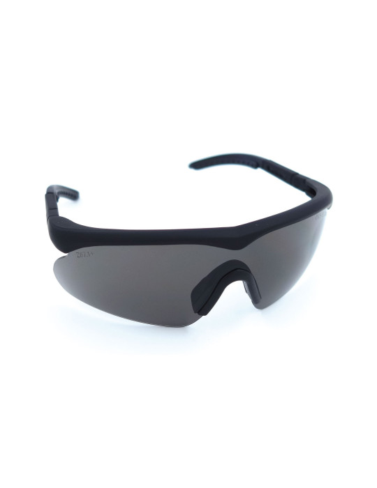 Lunettes balistiques Raptor Swisseye